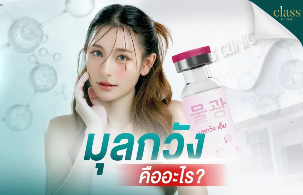 มุลกวังคืออะไร