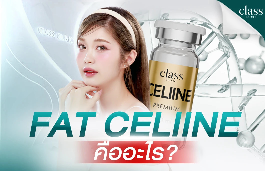 Fat CELIINE คืออะไร?