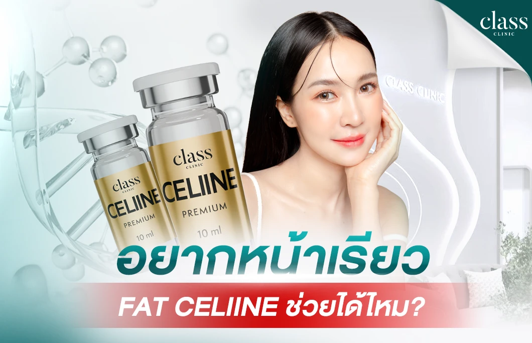 อยากหน้าเรียว Fat CELIINE ช่วยได้มั้ย?